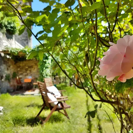 La Rosa Dei Vespucci Historic * غريفي ان شنتي