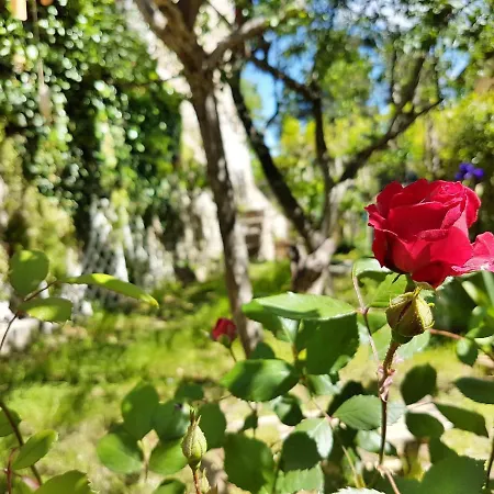 Lejlighed La Rosa Dei Vespucci Historic