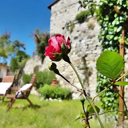 شقة La Rosa Dei Vespucci Historic
